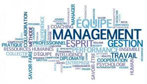 image-3 What is management? Duties and roles.,…